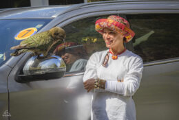 New Zealand 2025 (1 group) (21/66)